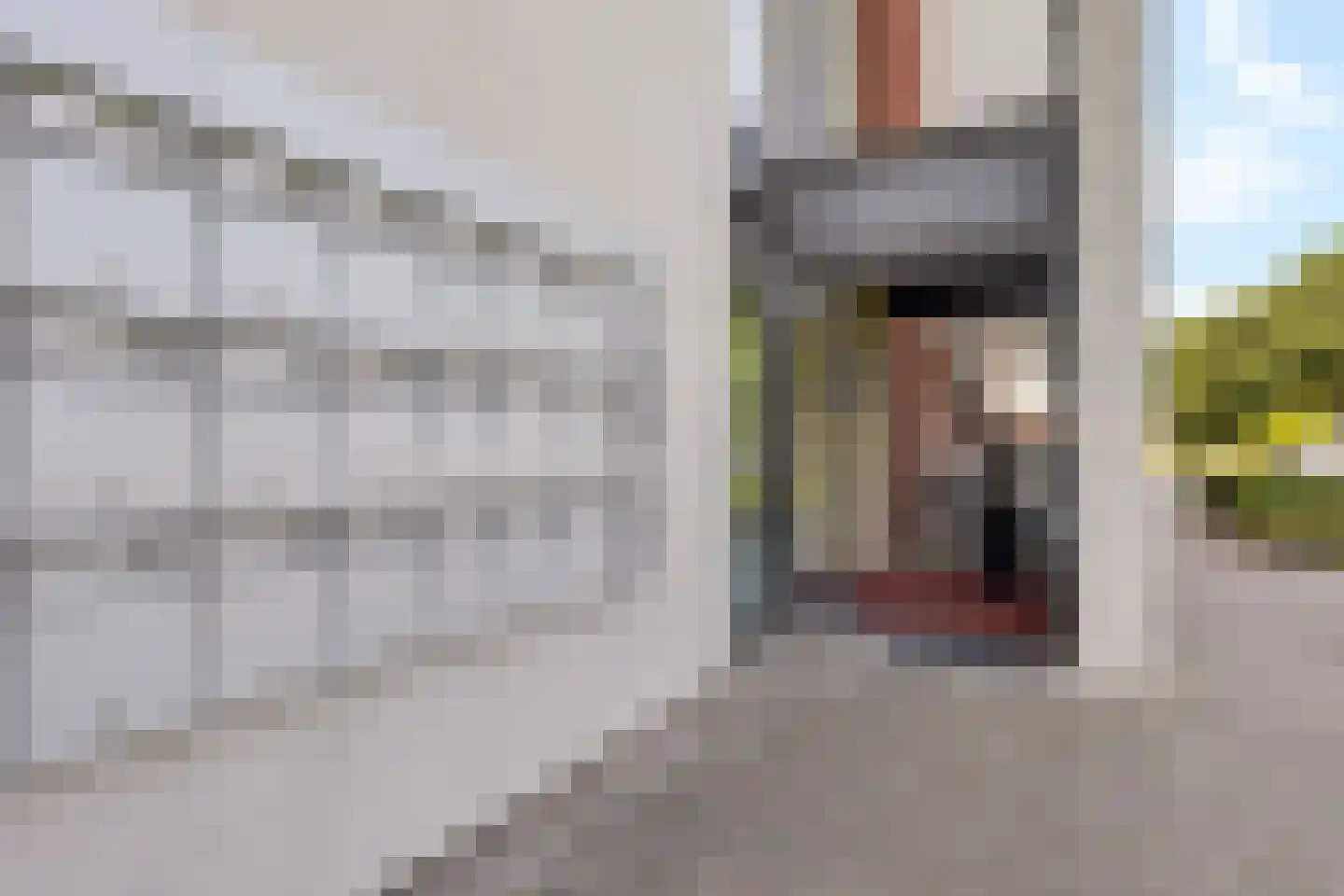 Maas 21 Hoogeveen thumbnail 7