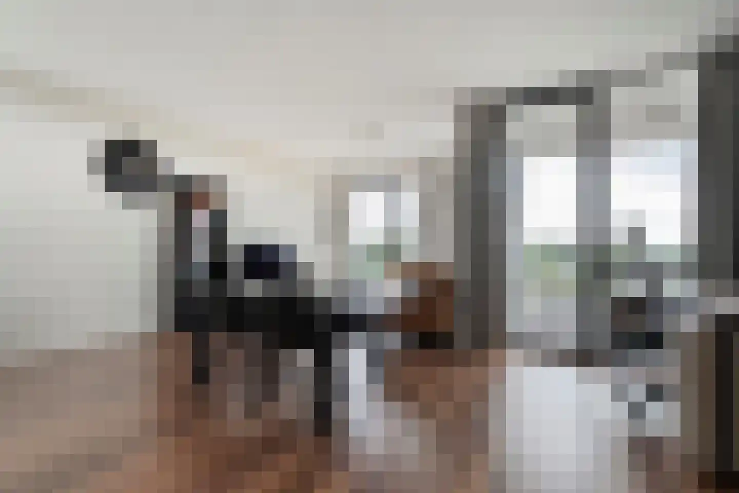 Maas 25 Hoogeveen thumbnail 19