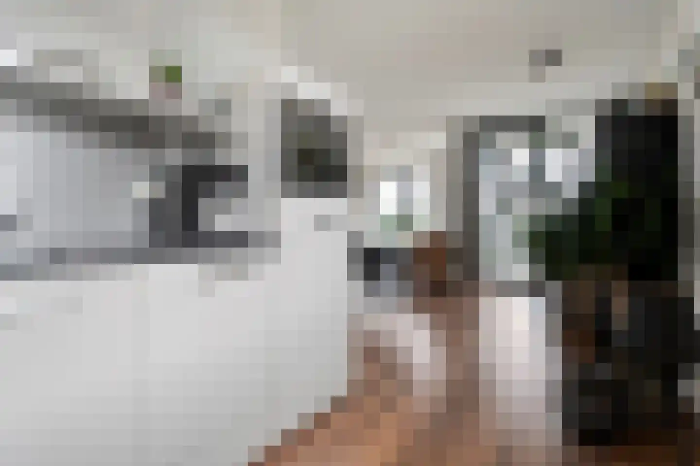 Maas 25 Hoogeveen thumbnail 21
