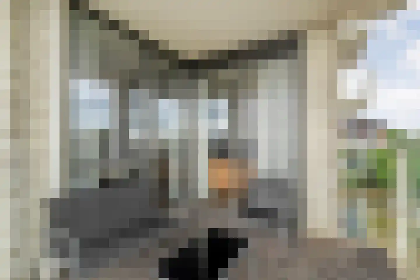 Maas 25 Hoogeveen thumbnail 33