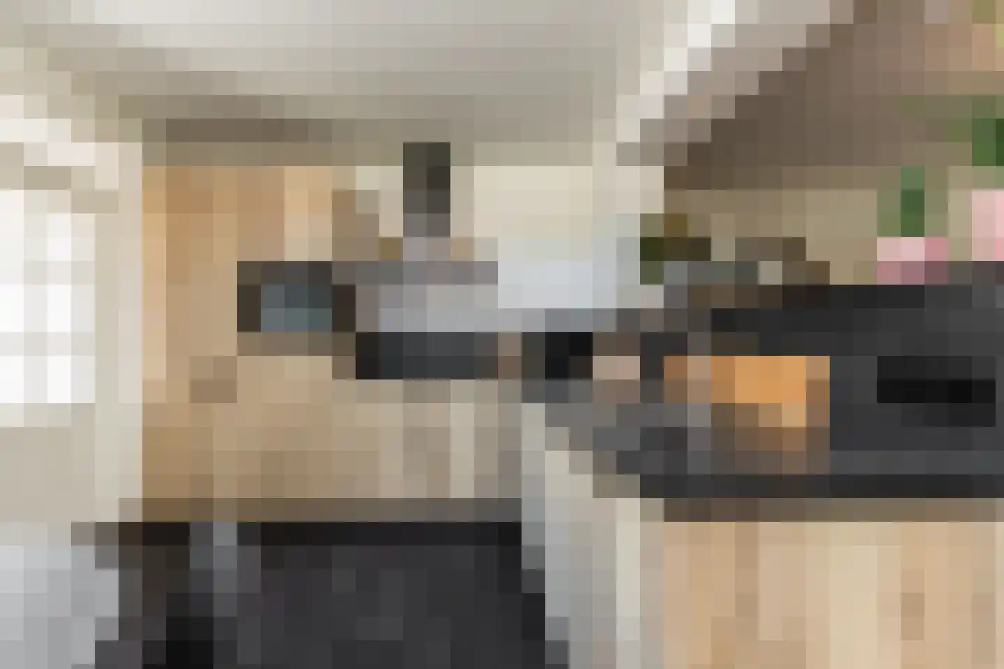 Maas 35 Kaatsheuvel thumbnail 13