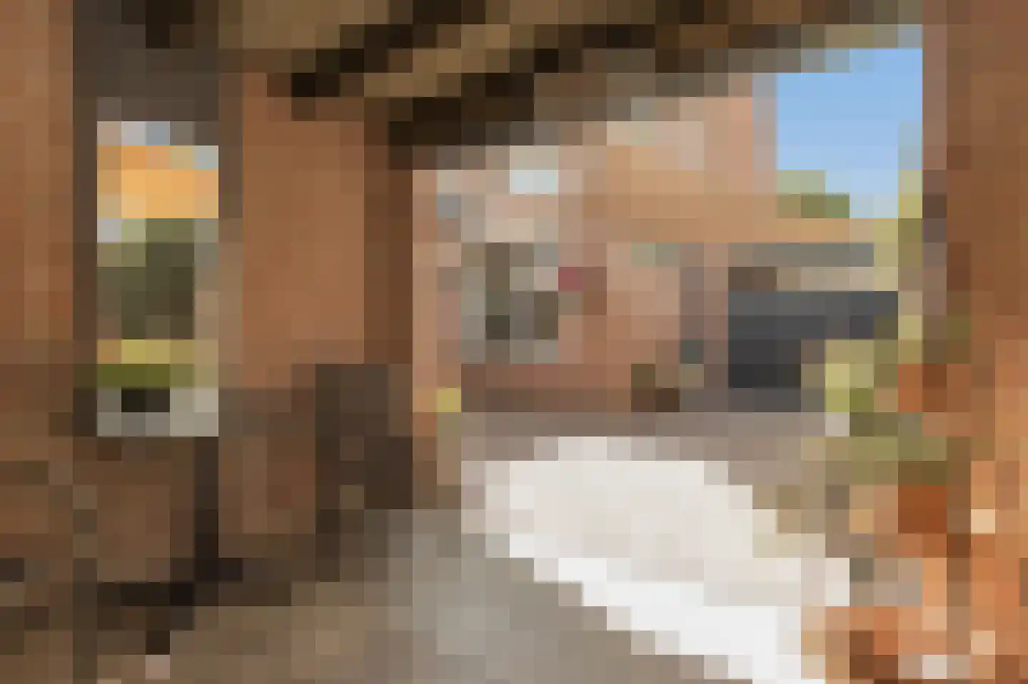 Maas 35 Kaatsheuvel thumbnail 37