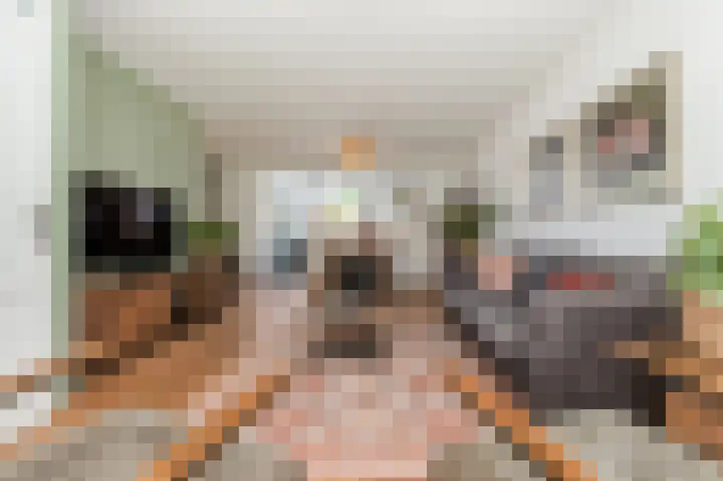 Maas 35 Kaatsheuvel thumbnail 9