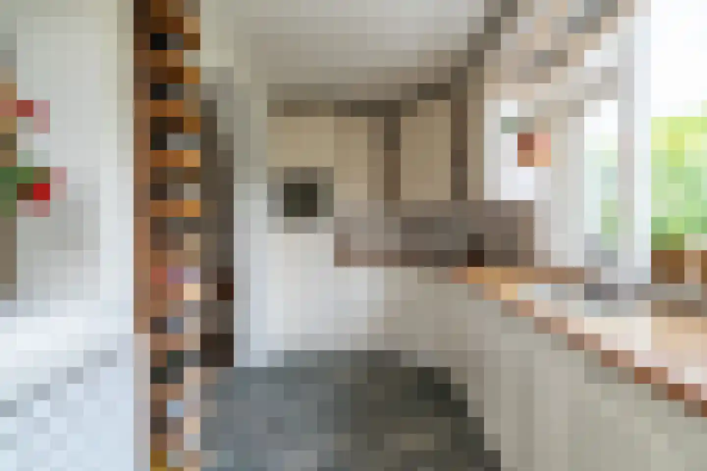Maas 36 Kaatsheuvel thumbnail 15