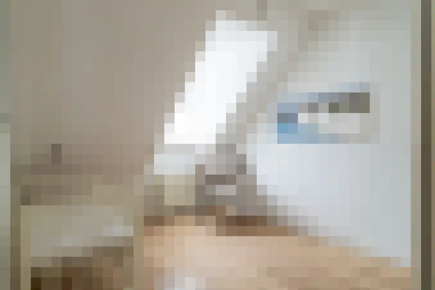 Maas 36 Kaatsheuvel thumbnail 19