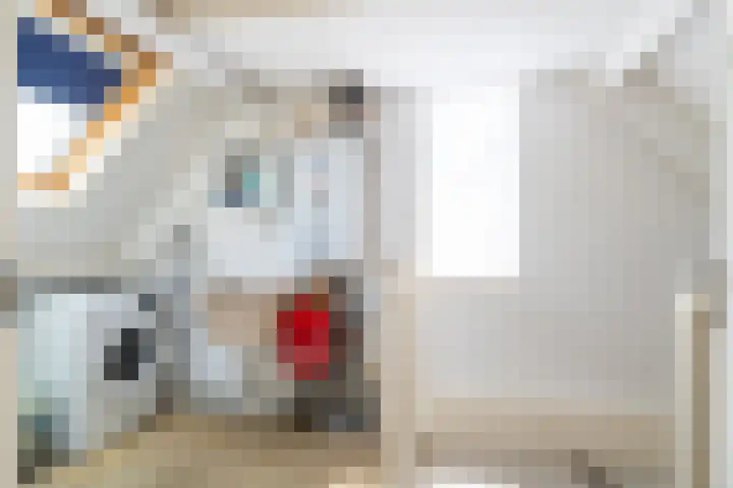 Maas 36 Kaatsheuvel thumbnail 24