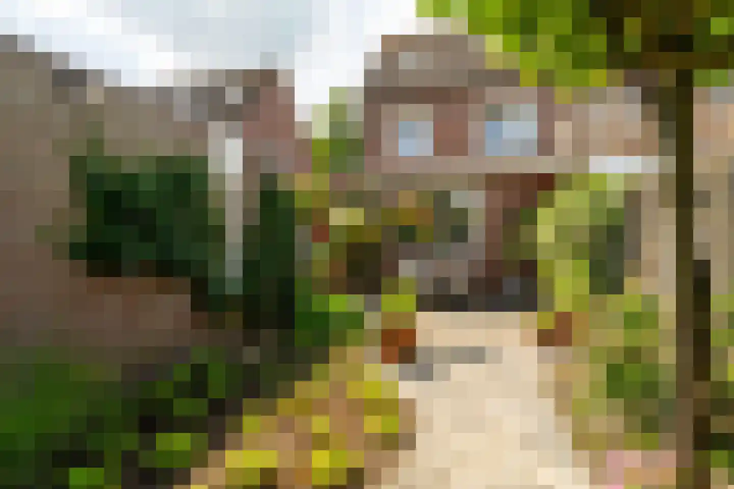 Maas 36 Kaatsheuvel thumbnail 28