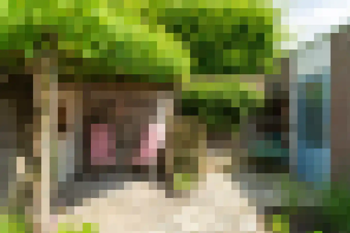 Maas 36 Kaatsheuvel thumbnail 31