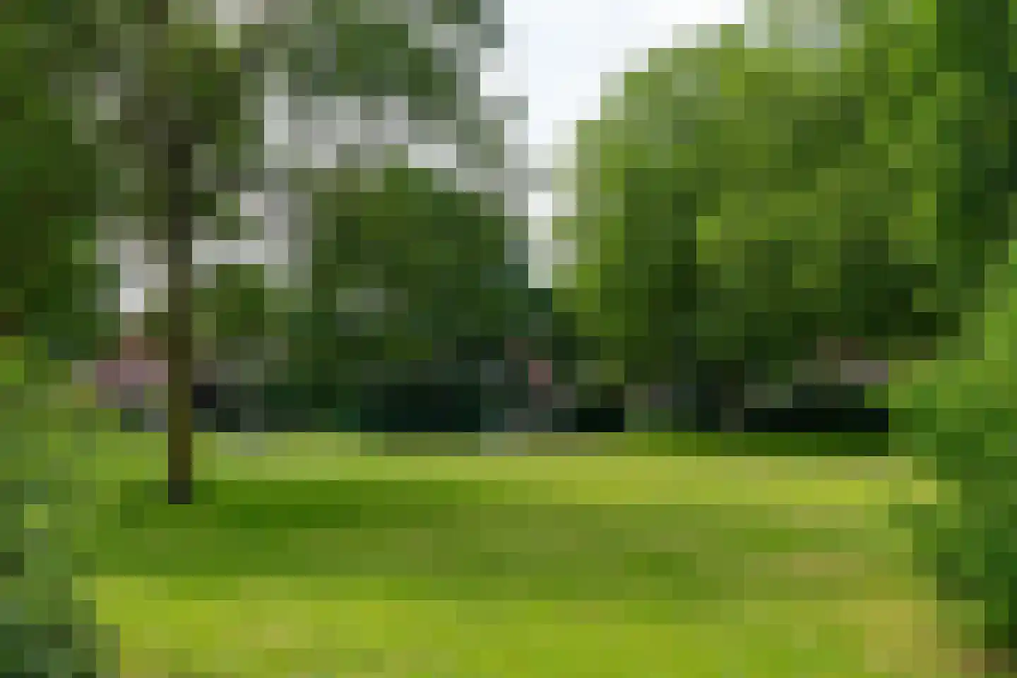 Maas 36 Kaatsheuvel thumbnail 33