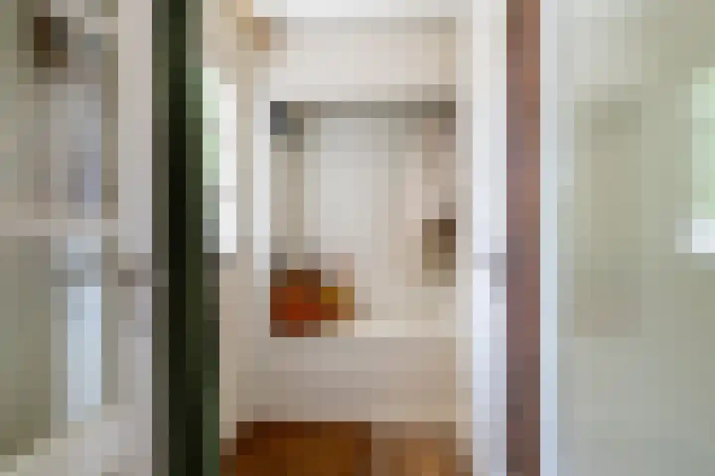 Maas 36 Kaatsheuvel thumbnail 5