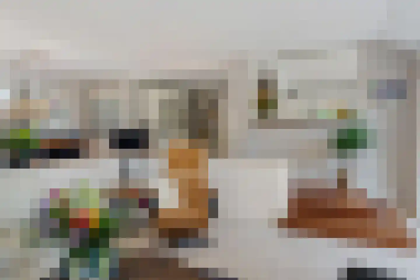 Maas Geesteranusweg 15 Heiloo thumbnail 18