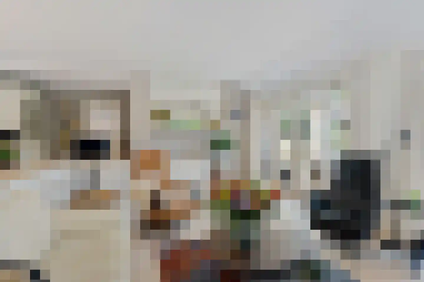 Maas Geesteranusweg 15 Heiloo thumbnail 19