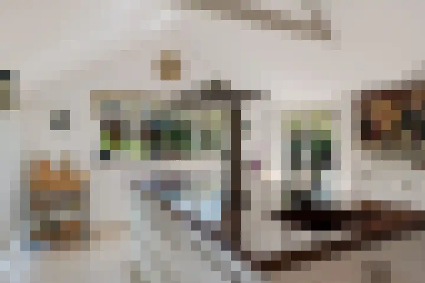 Maas Geesteranusweg 15 Heiloo thumbnail 23