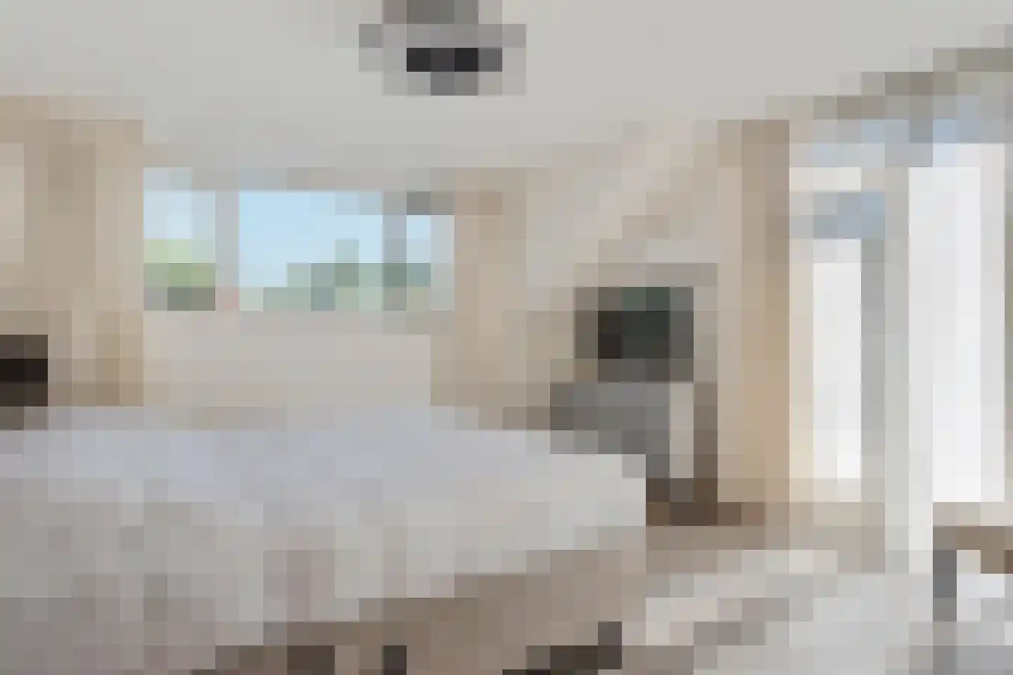 Maas Geesteranusweg 15 Heiloo thumbnail 34