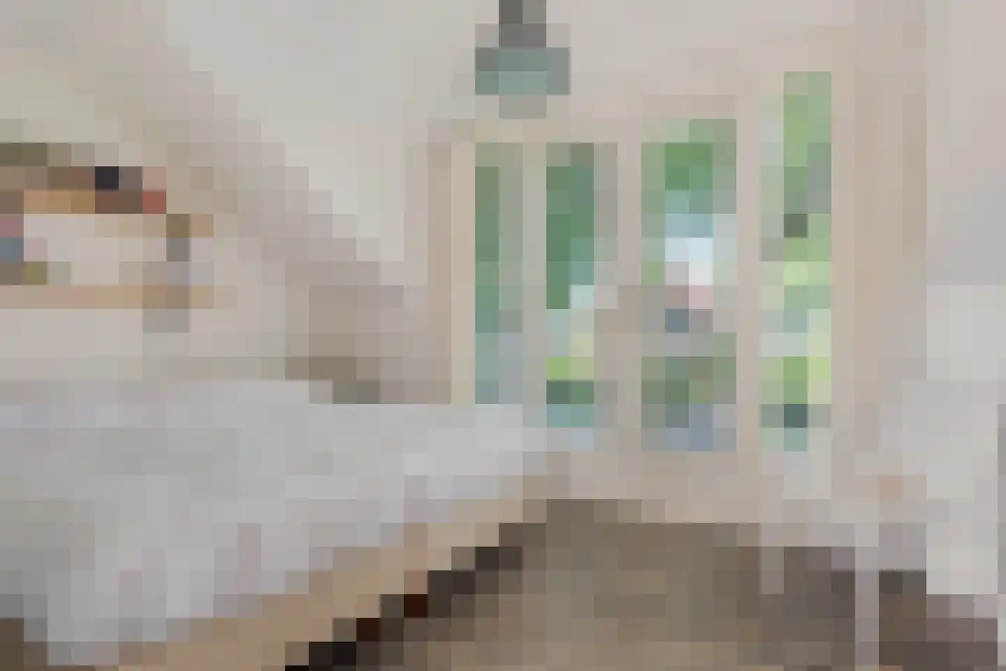 Maas Geesteranusweg 15 Heiloo thumbnail 36