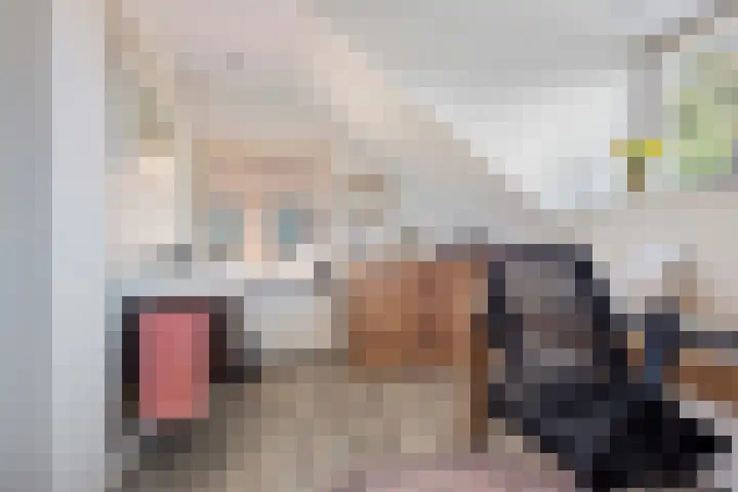 Maas Geesteranusweg 15 Heiloo thumbnail 37