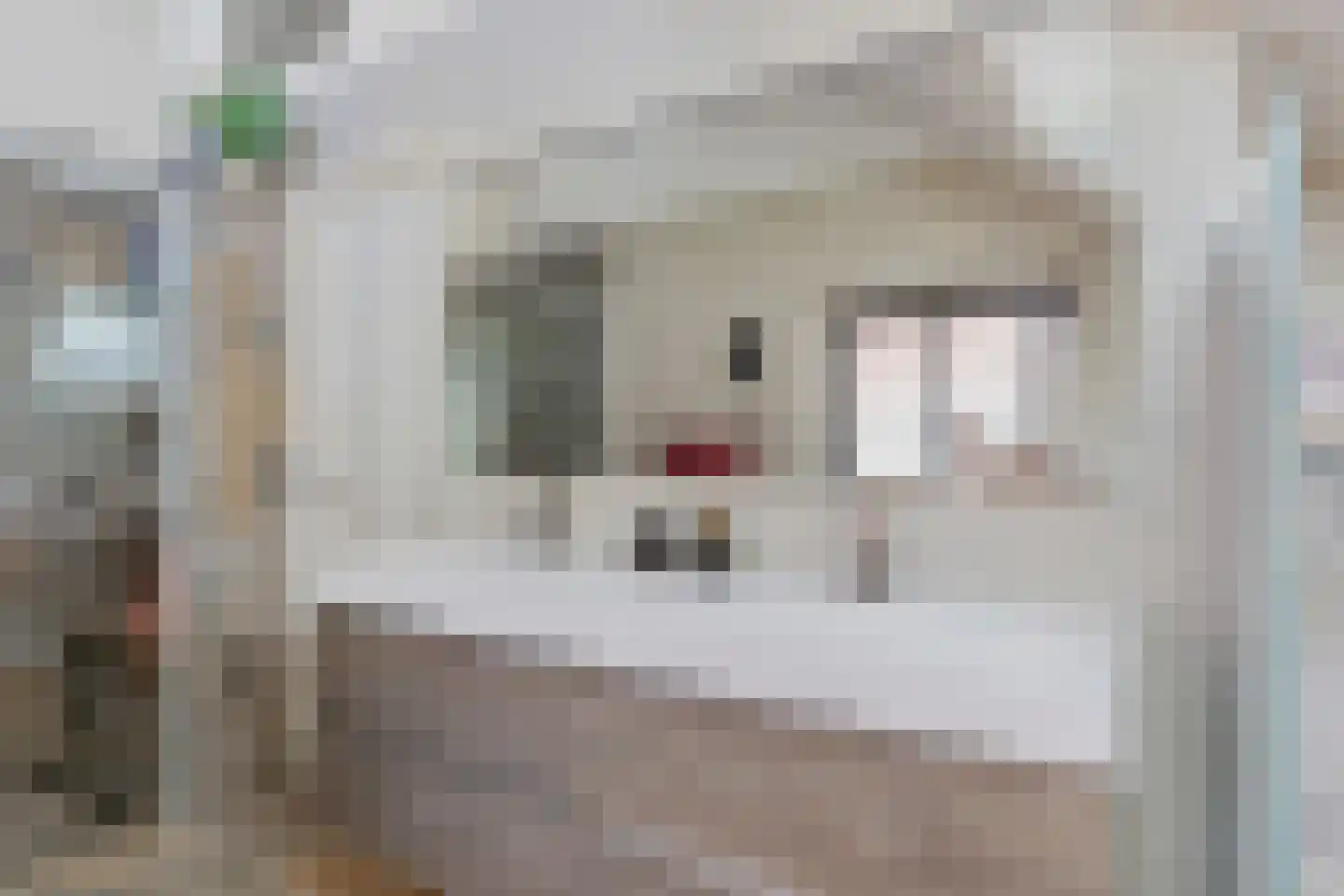 Maas Geesteranusweg 15 Heiloo thumbnail 40