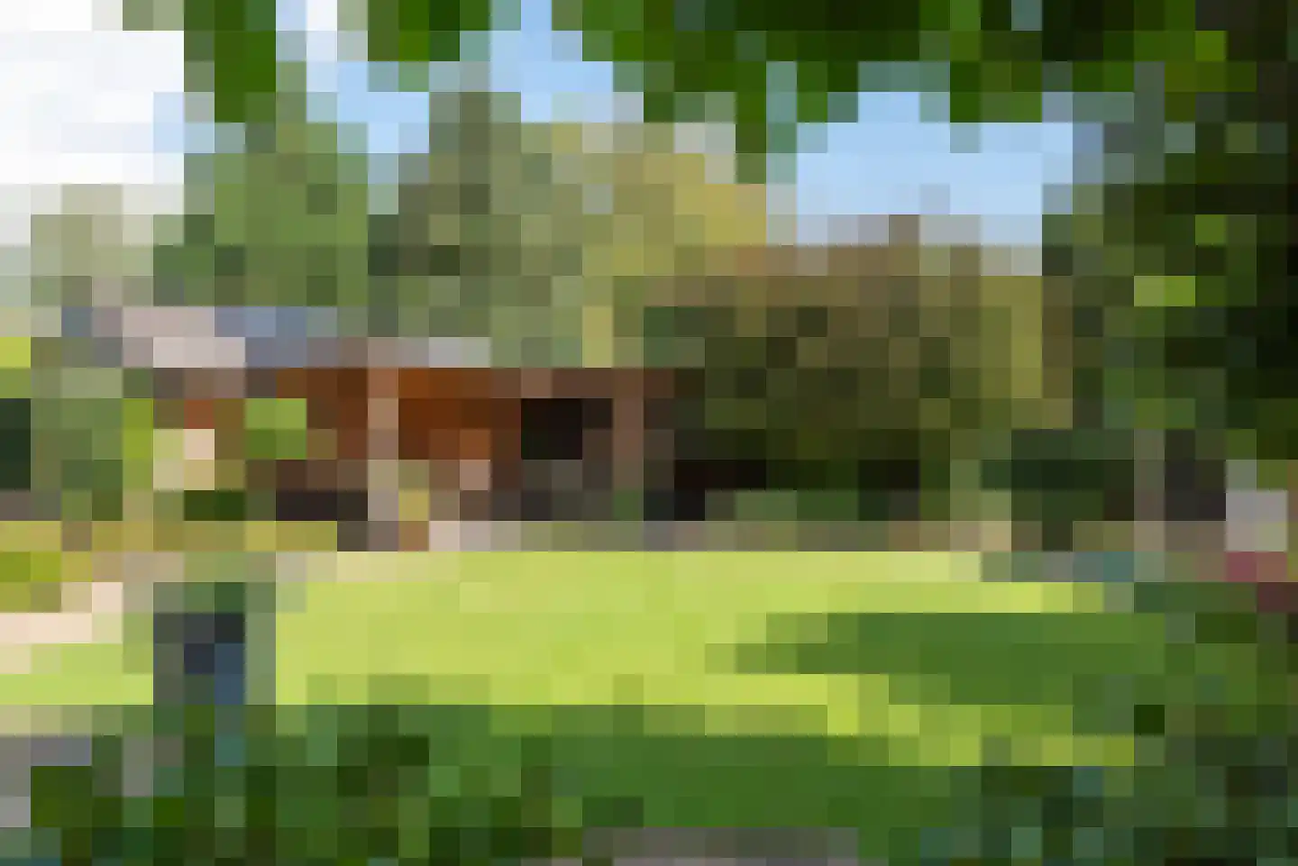 Maas Geesteranusweg 15 Heiloo thumbnail 42
