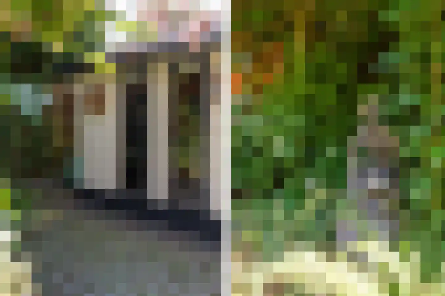 Maas Geesteranusweg 15 Heiloo thumbnail 55