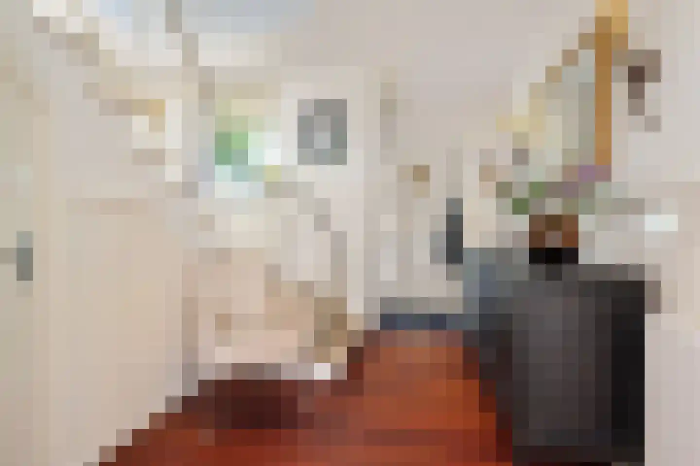 Maas Geesteranusweg 15 Heiloo thumbnail 6