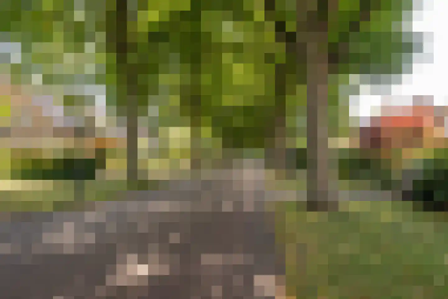 Maas Geesteranusweg 15 Heiloo thumbnail 64