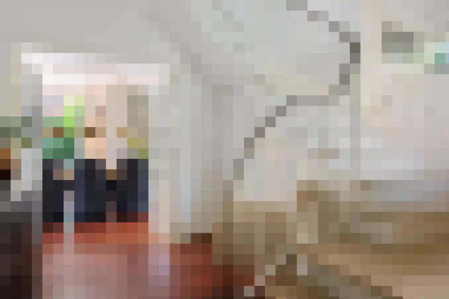 Maas Geesteranusweg 15 Heiloo thumbnail 7
