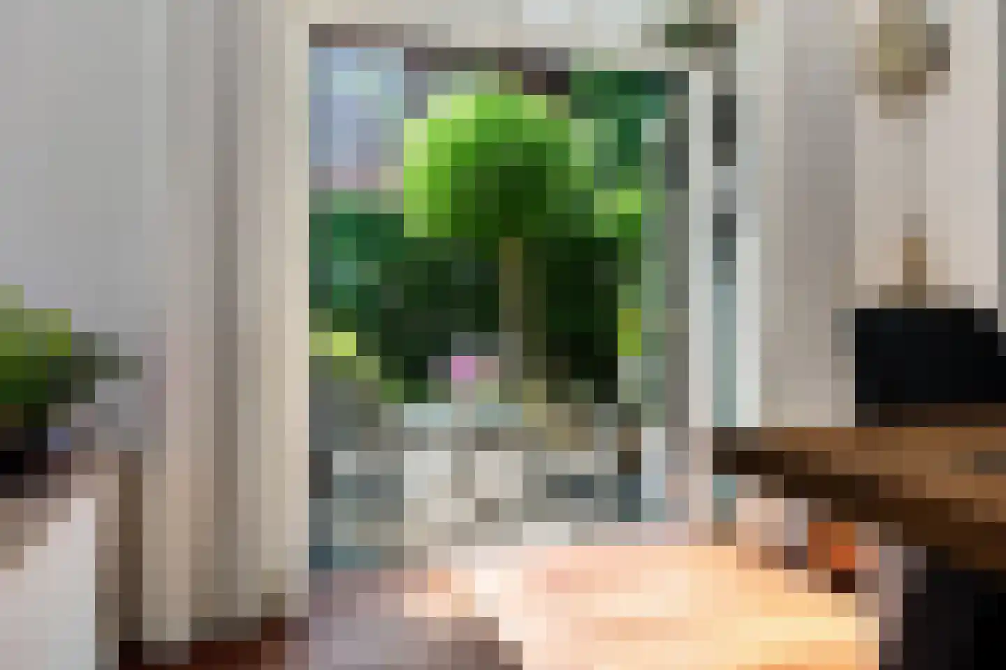 Maas Geesteranusweg 15 Heiloo thumbnail 9
