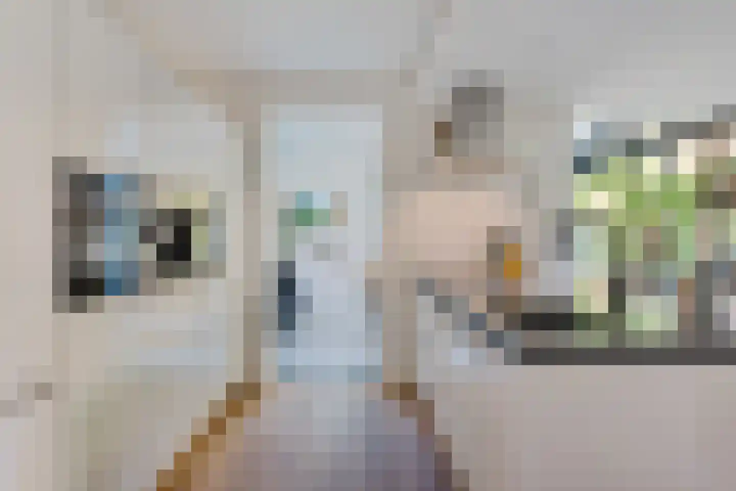 Maas Geesteranusweg 20 Heiloo thumbnail 12