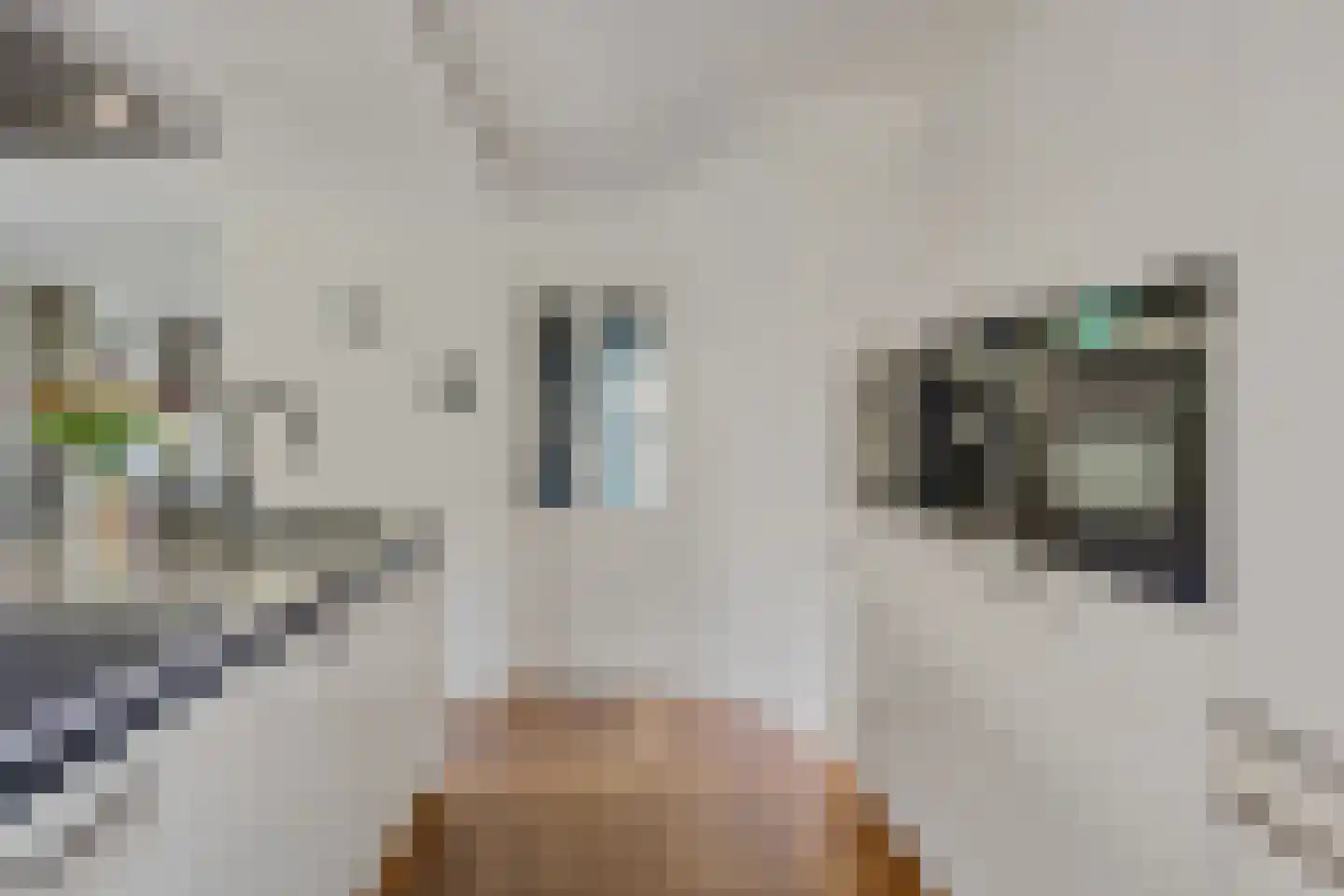 Maas Geesteranusweg 20 Heiloo thumbnail 13