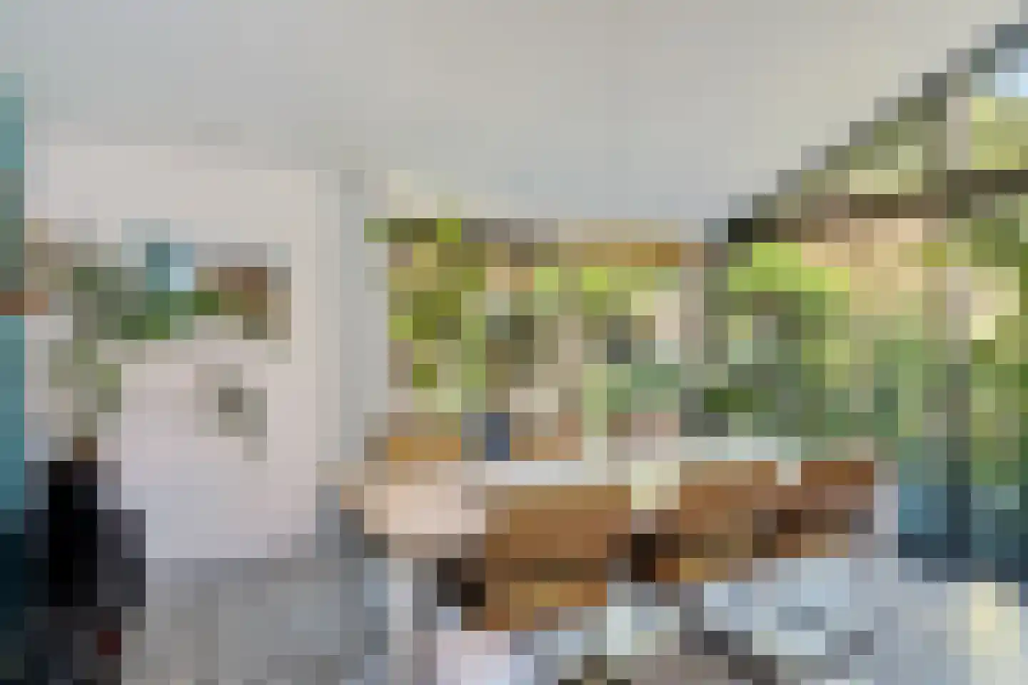 Maas Geesteranusweg 20 Heiloo thumbnail 17