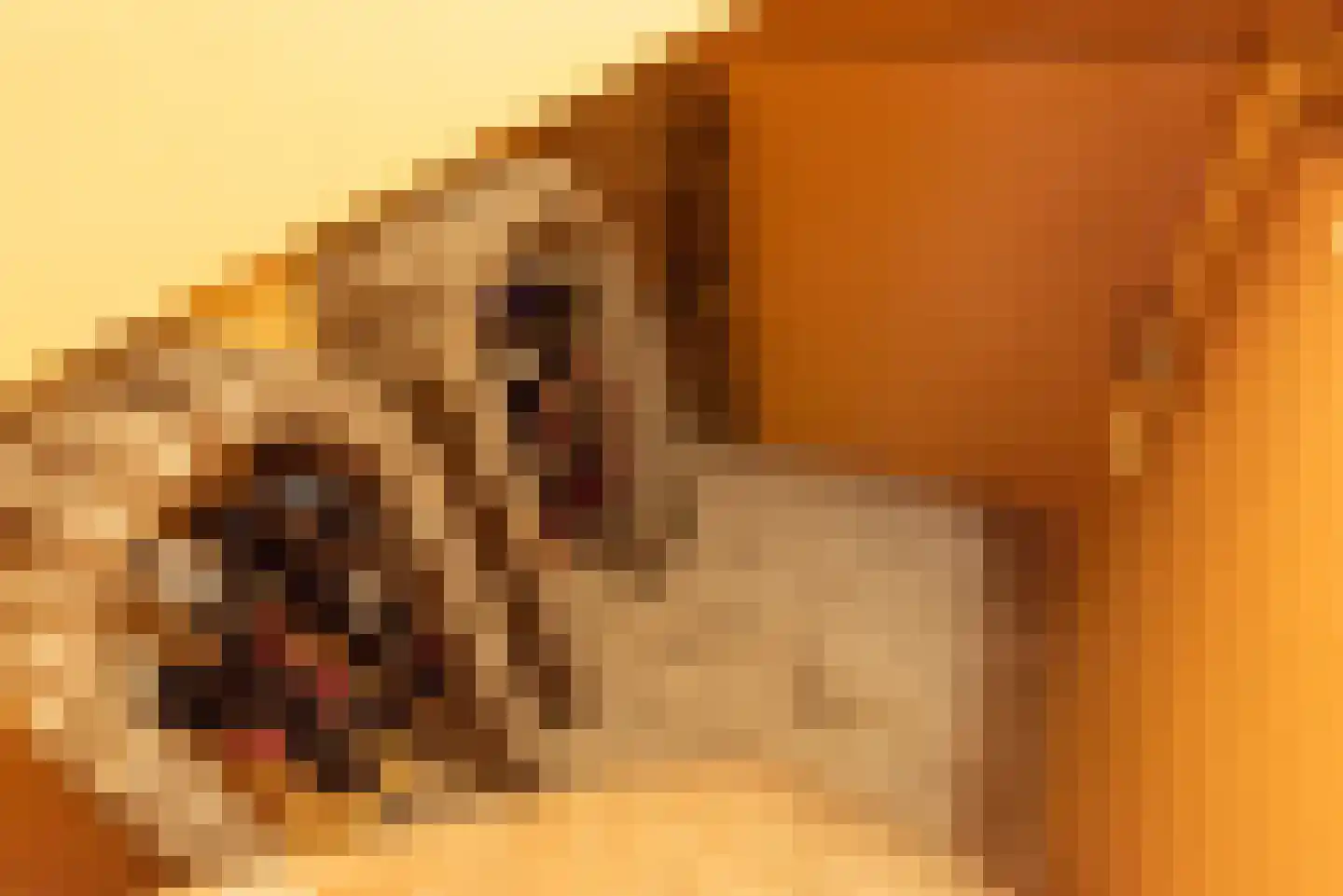 Maas Geesteranusweg 20 Heiloo thumbnail 21