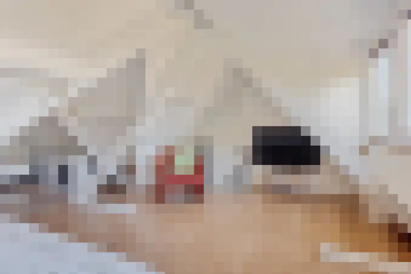 Maas Geesteranusweg 20 Heiloo thumbnail 33