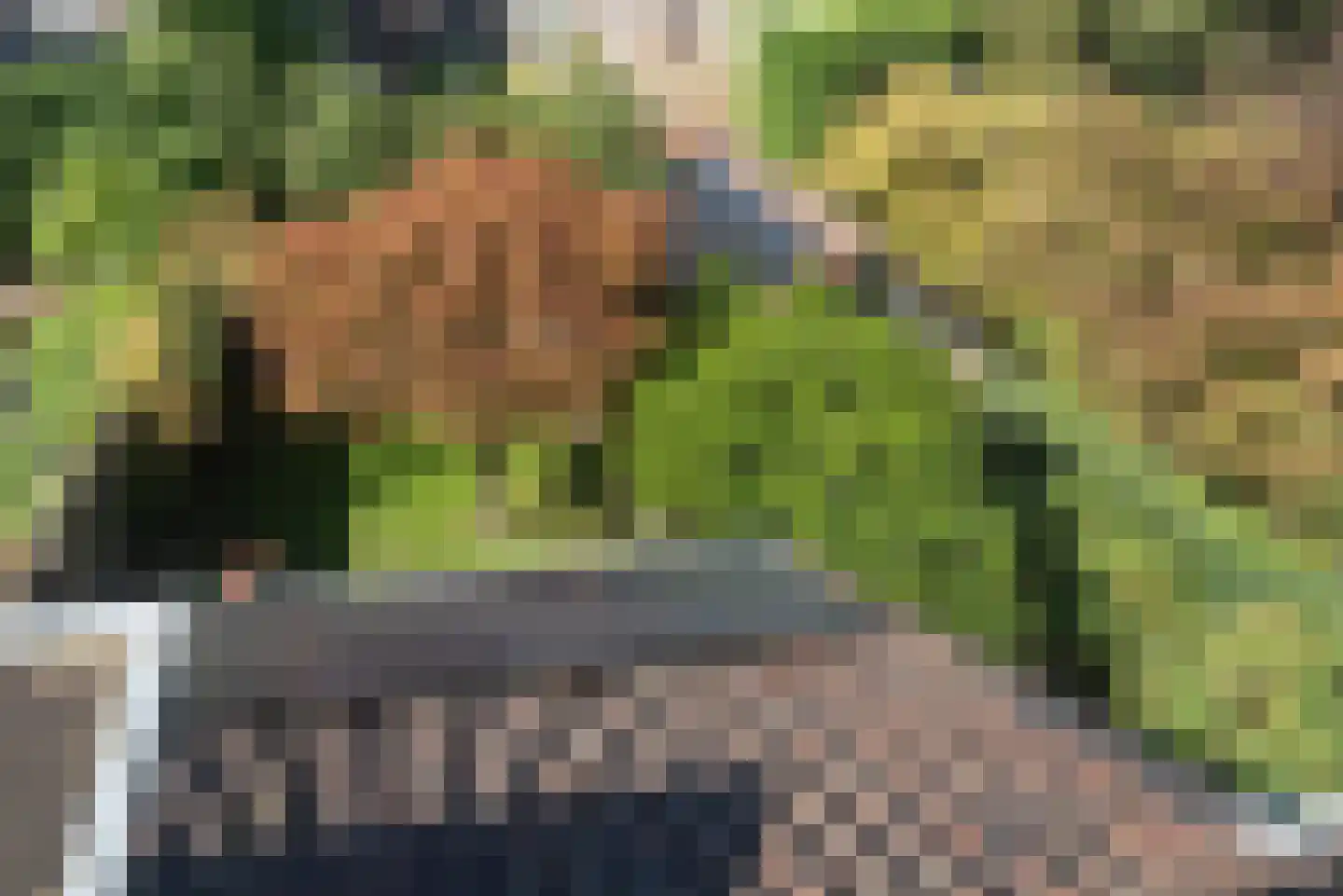 Maas Geesteranusweg 20 Heiloo thumbnail 34