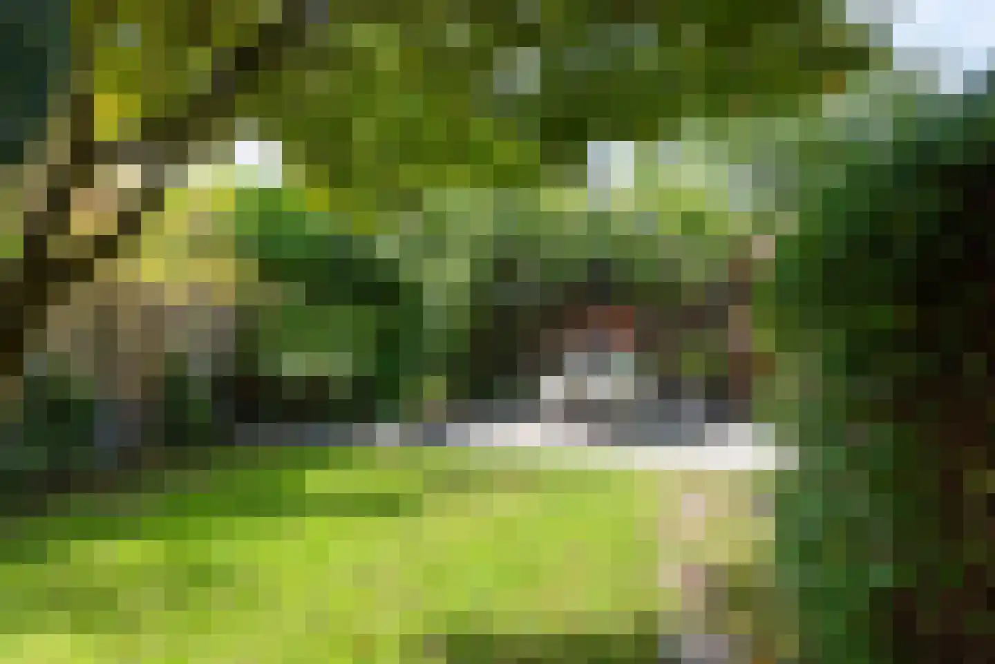 Maas Geesteranusweg 20 Heiloo thumbnail 36