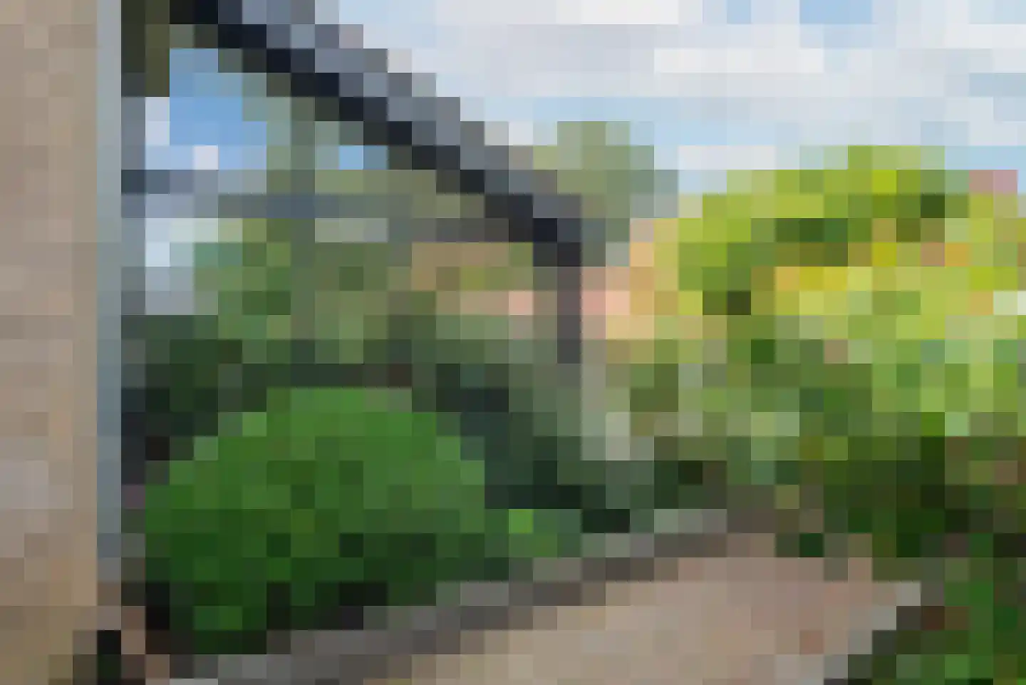 Maas Geesteranusweg 20 Heiloo thumbnail 42