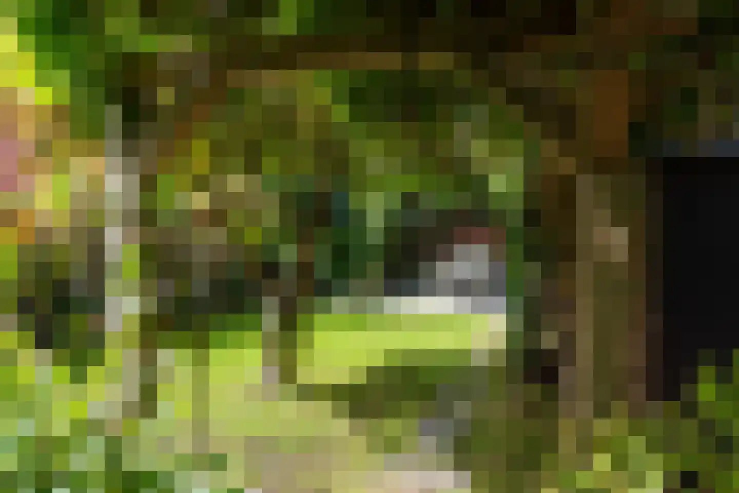 Maas Geesteranusweg 20 Heiloo thumbnail 46
