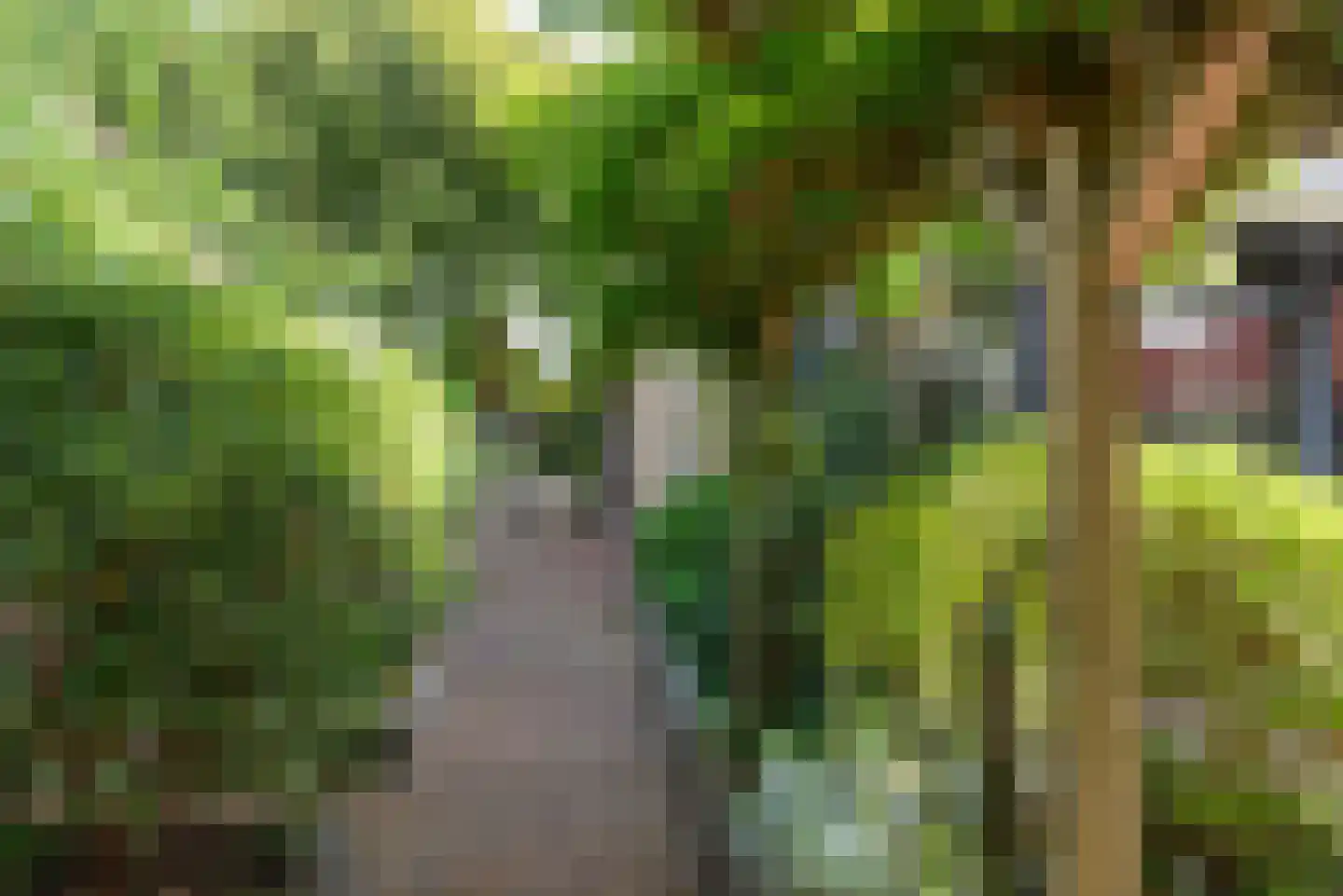Maas Geesteranusweg 20 Heiloo thumbnail 49