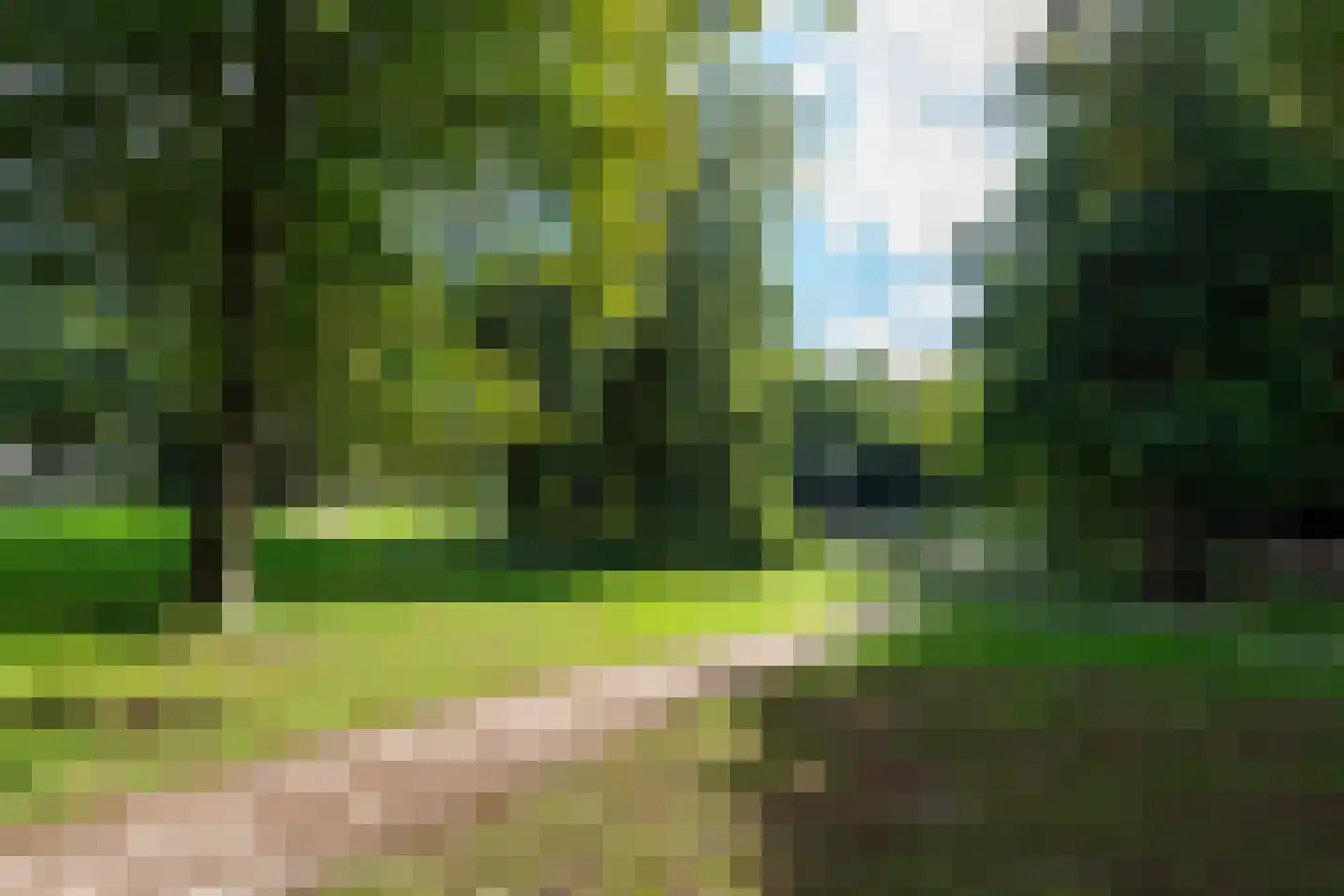Maas Geesteranusweg 20 Heiloo thumbnail 52