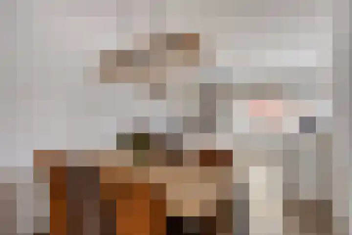 Maasakker 37 Hooge Mierde thumbnail 12