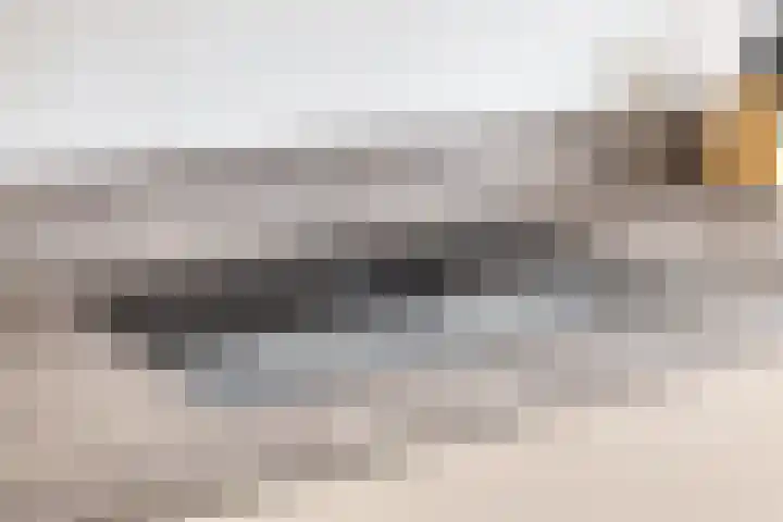 Maasakker 37 Hooge Mierde thumbnail 16
