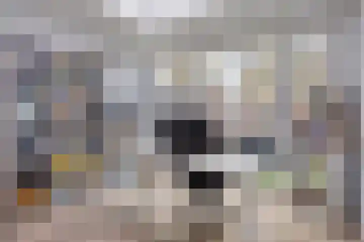 Maasakker 37 Hooge Mierde thumbnail 17