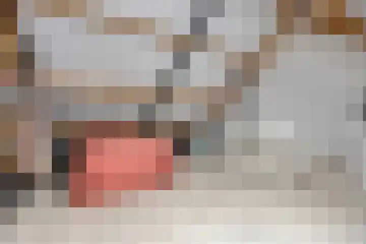 Maasakker 37 Hooge Mierde thumbnail 27