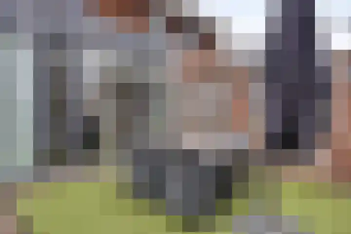 Maasakker 37 Hooge Mierde thumbnail 30