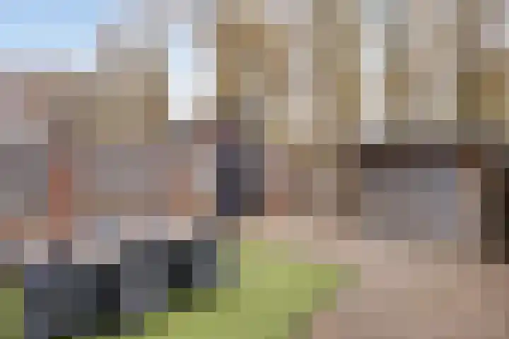 Maasakker 37 Hooge Mierde thumbnail 31
