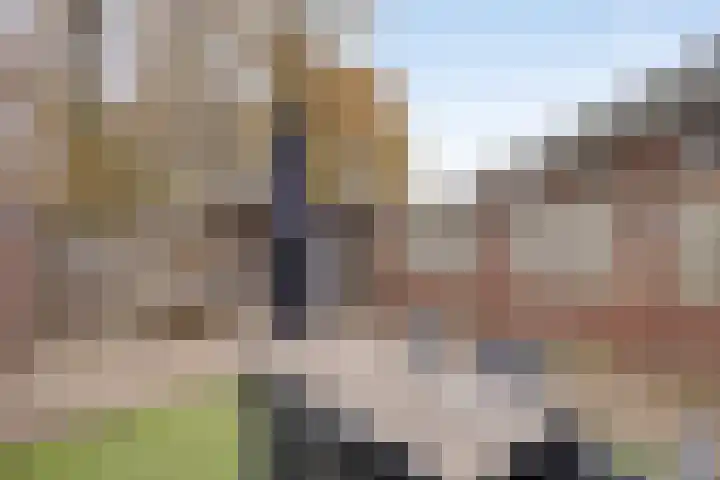 Maasakker 37 Hooge Mierde thumbnail 32