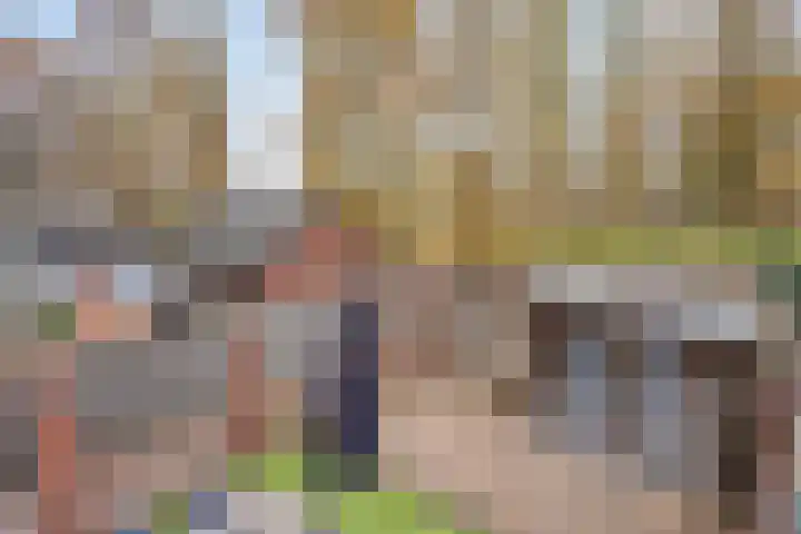 Maasakker 37 Hooge Mierde thumbnail 33
