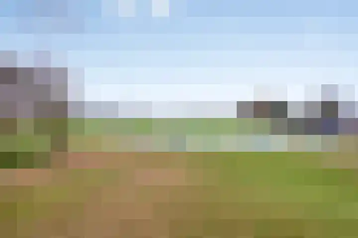 Maasakker 37 Hooge Mierde thumbnail 36