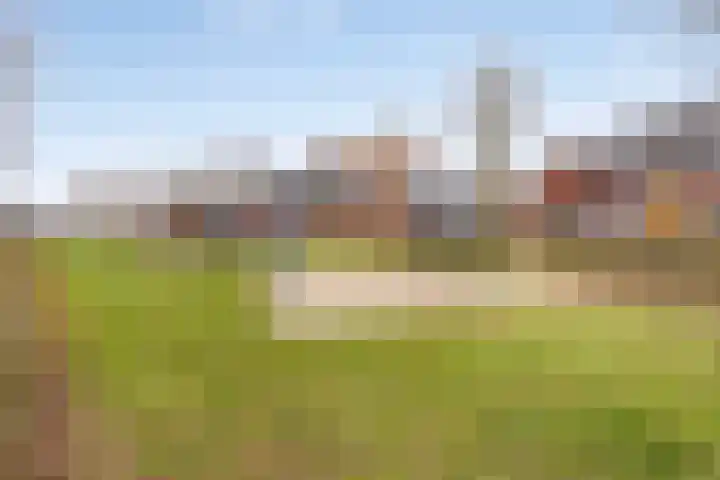 Maasakker 37 Hooge Mierde thumbnail 38