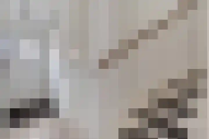 Maasakker 37 Hooge Mierde thumbnail 7