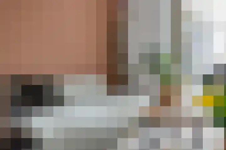 Maasakker 37 Hooge Mierde thumbnail 9